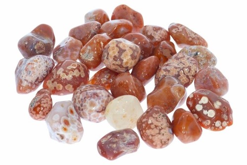 Achat aus marokko - ,